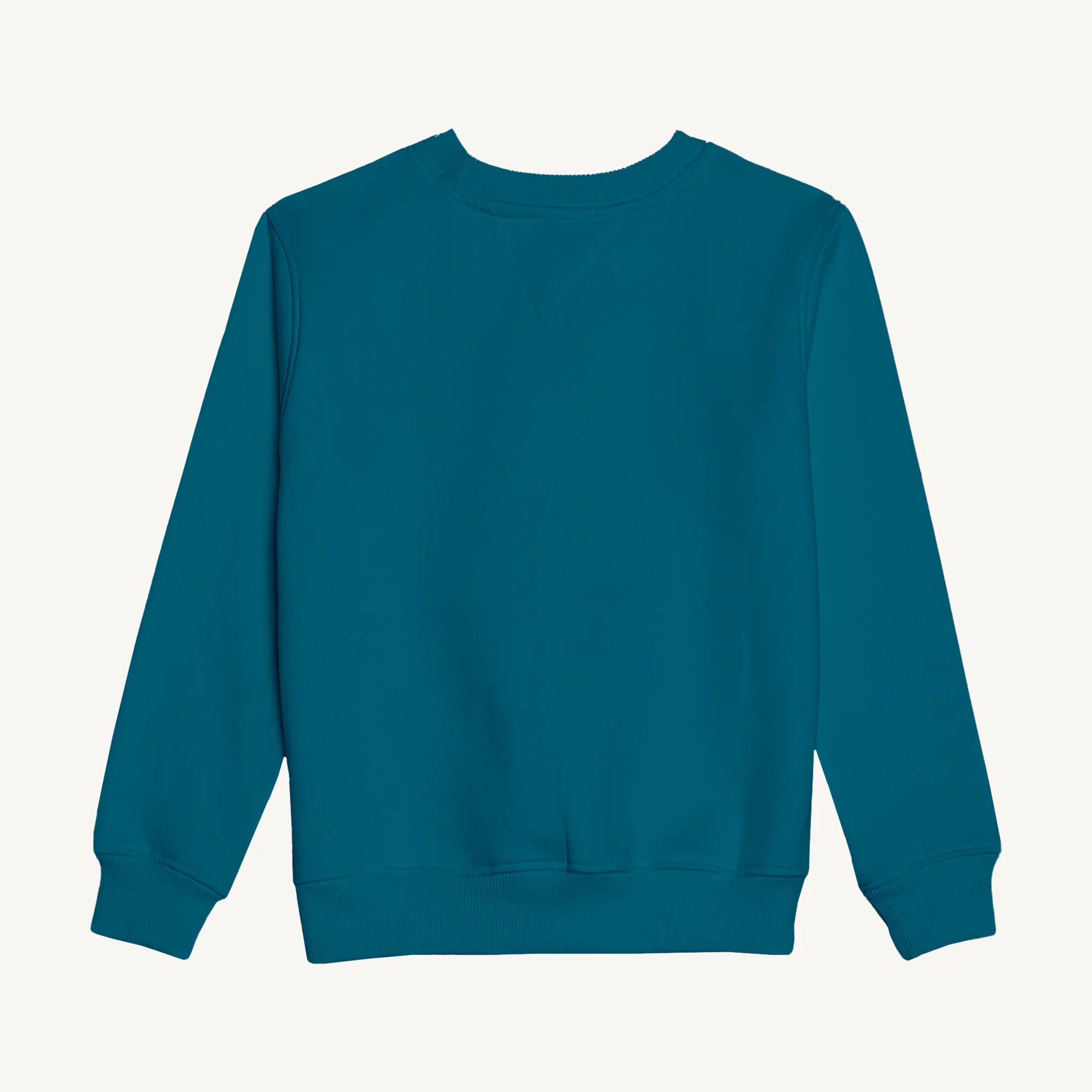 Winter_Blue_Norland_Sweatshirt_Back.webp