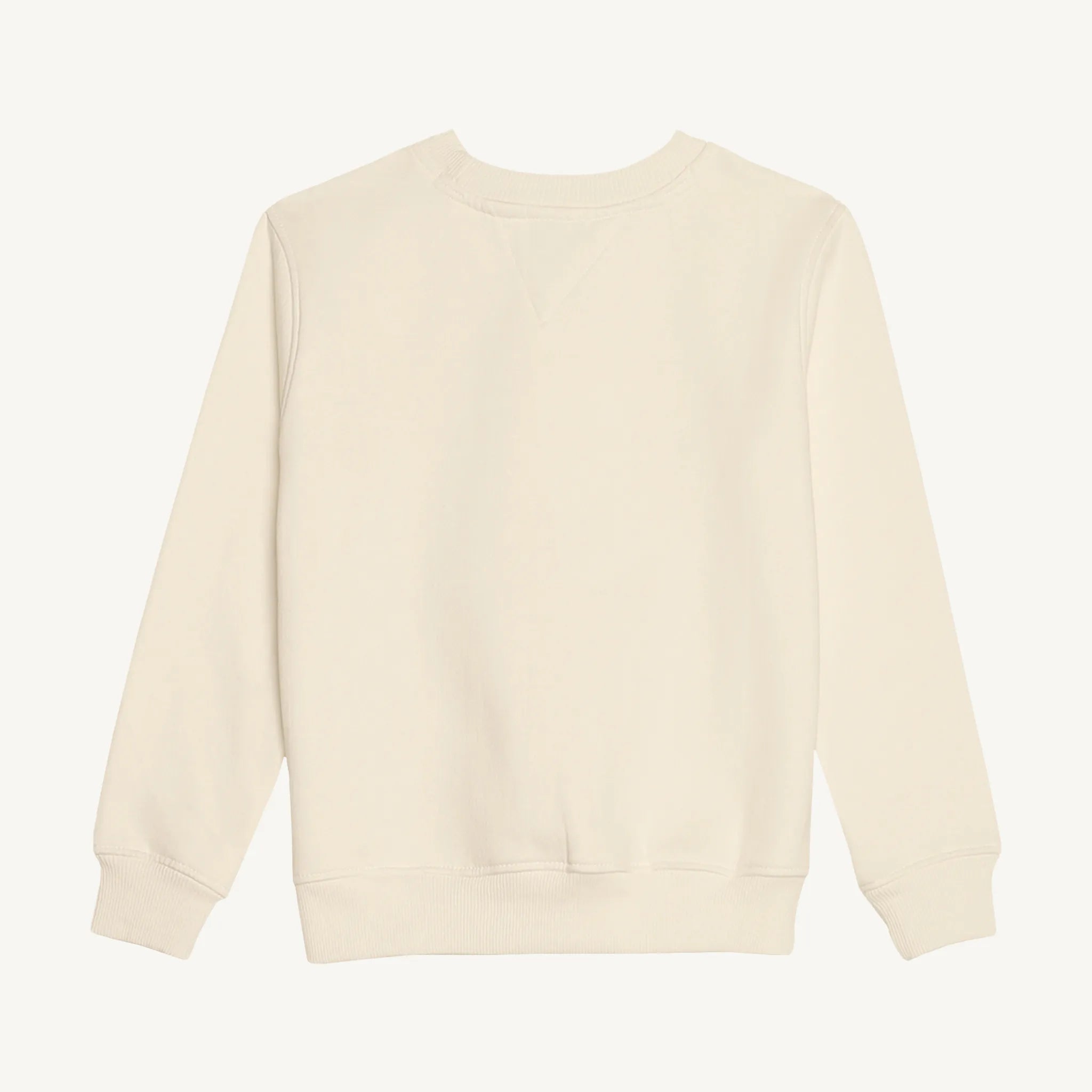 Winter_Off_White_BWT_Sweatshirt_Back.webp