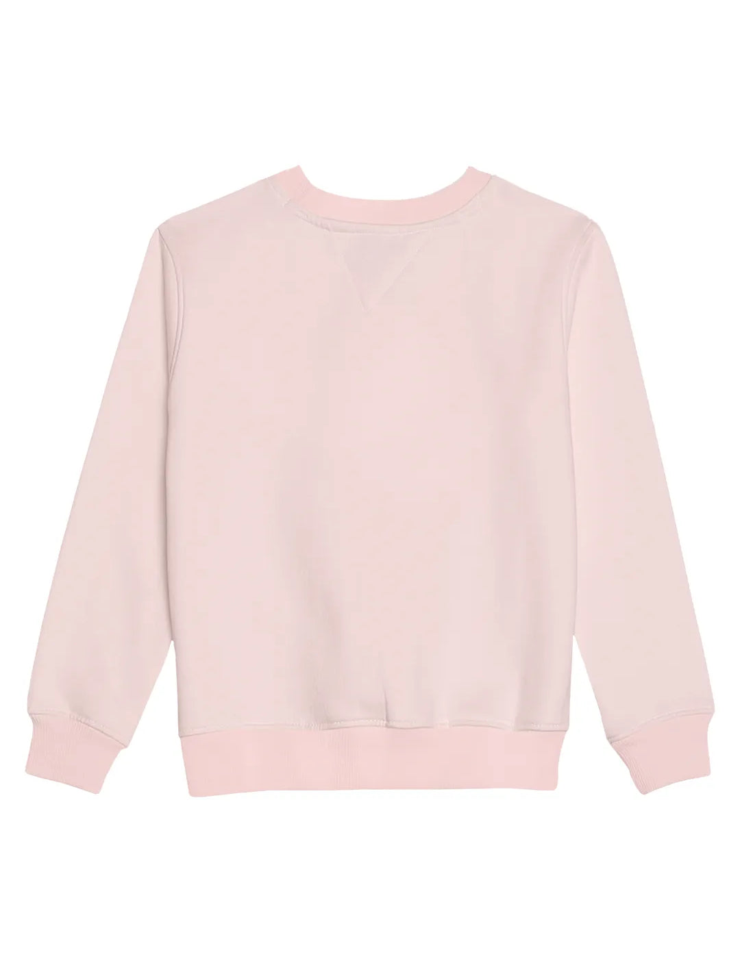 Winter_Pink_Flamingo_Sweatshirt_Back.webp