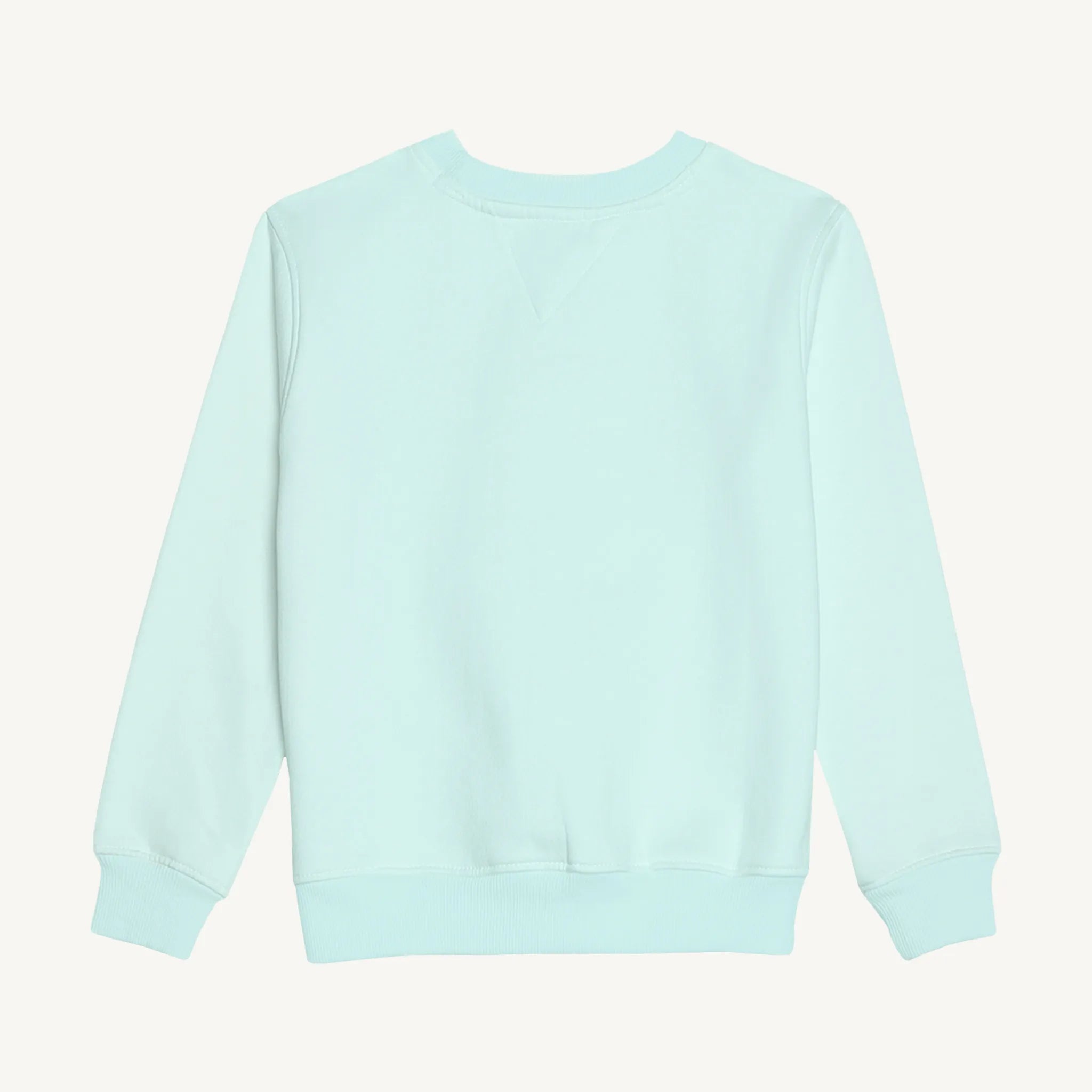 Winter_Sky_Blue_SYWL_Sweatshirt_Back.webp