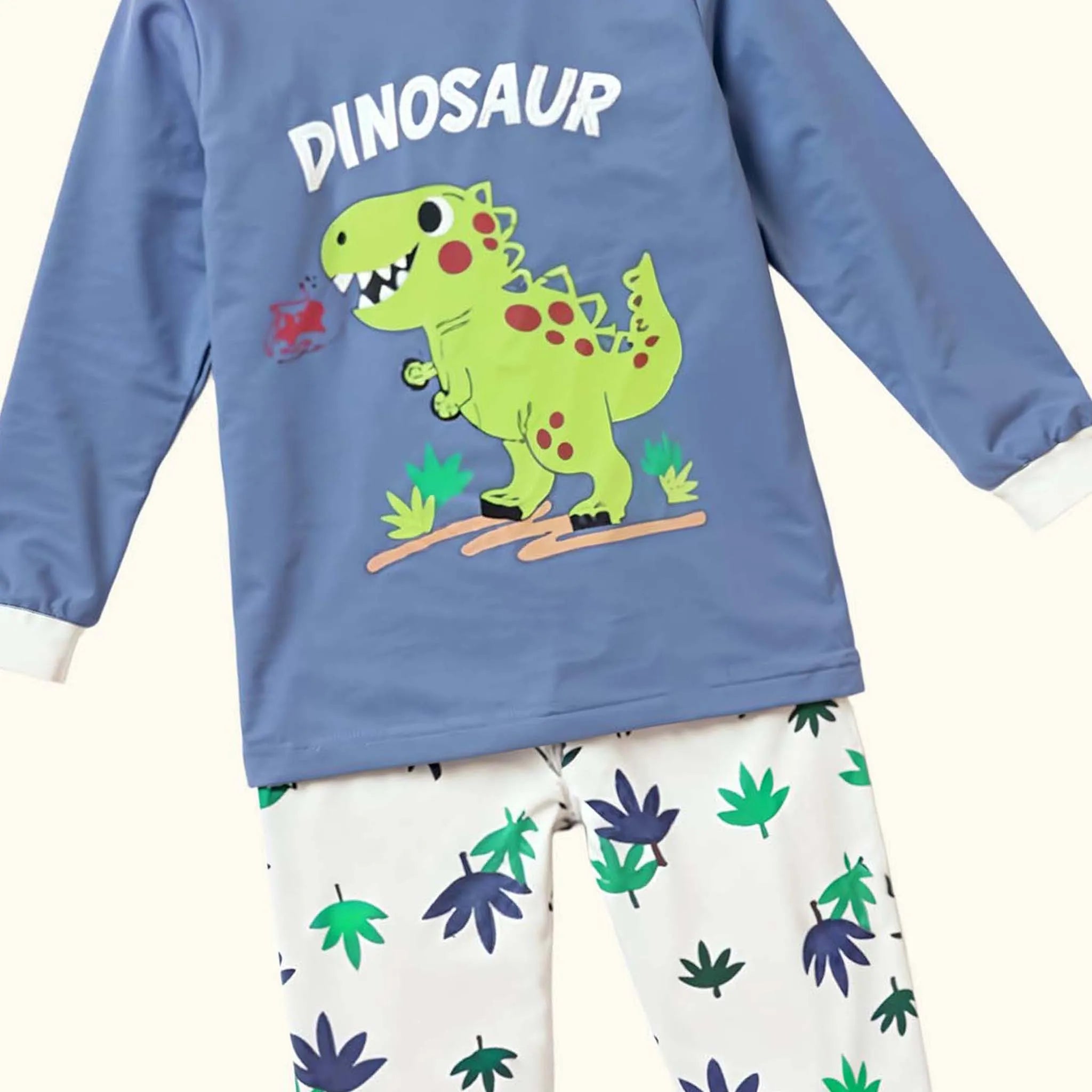 Boys Dinosaur Nightsuit