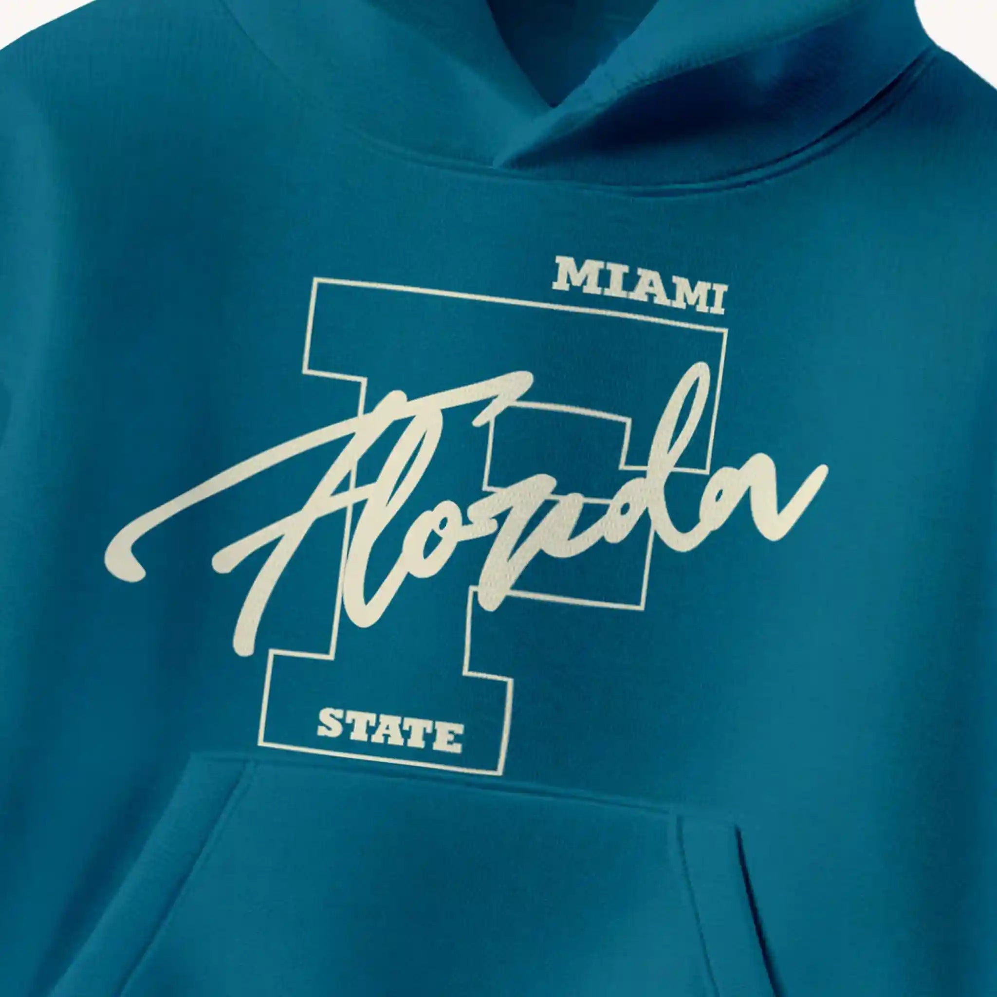 Winter_Blue_Florida_Hoodie_Front_Close