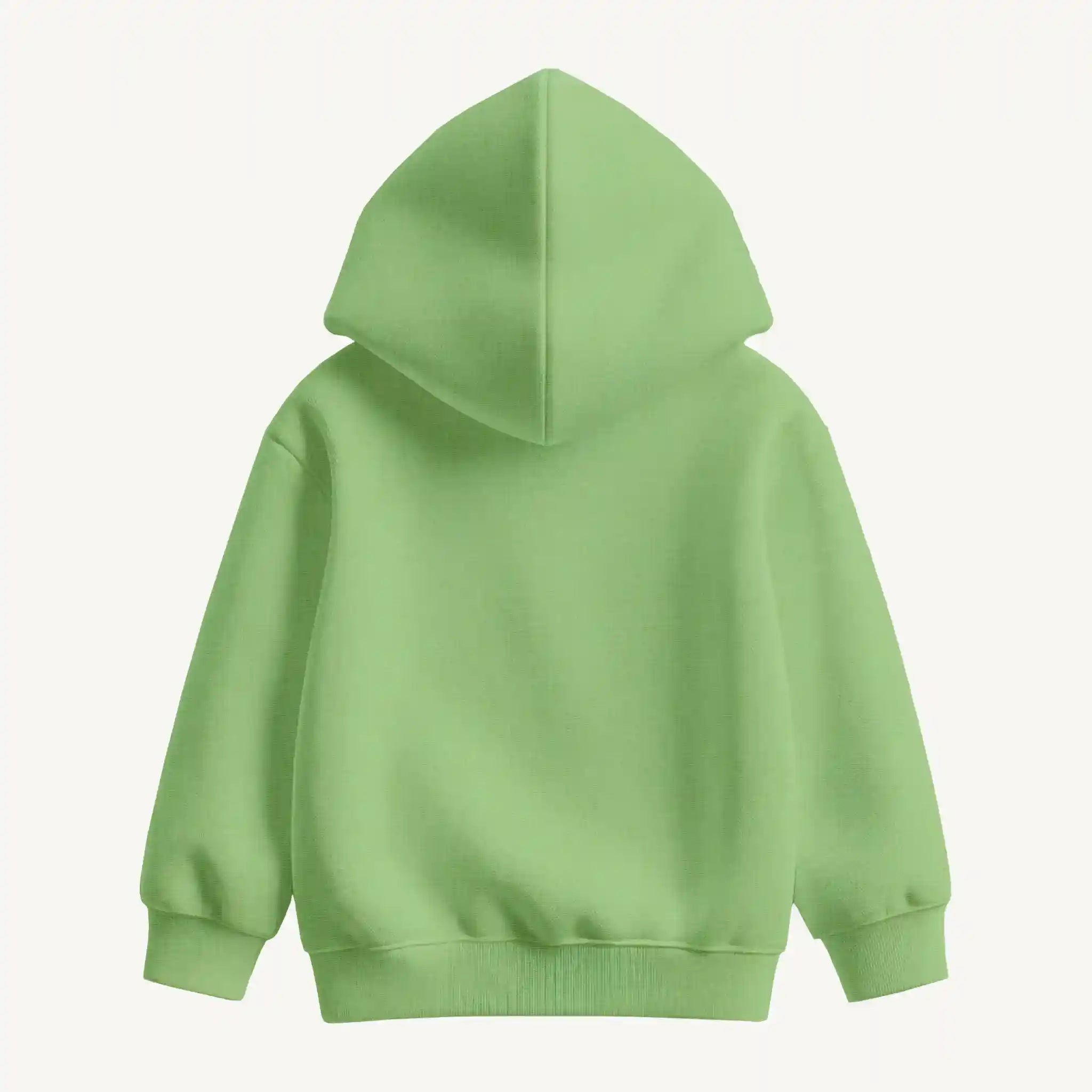 Boys Pastel Green Hoodie Warm for Winter Guugly Wuugly