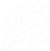 marque_icons-05.png